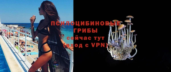 гидропоника Арсеньев